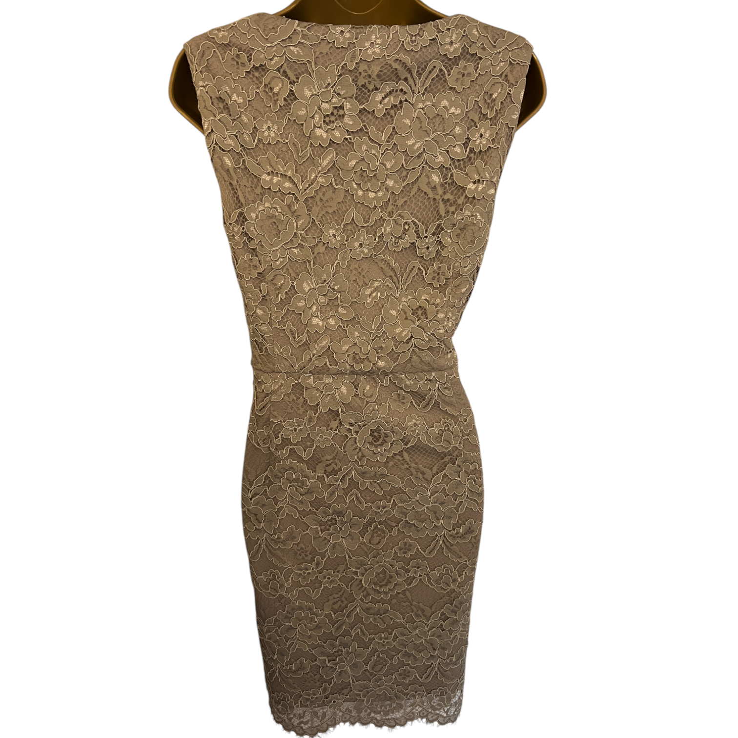 Adrianna Papell Taupe Lace Dress UK 16