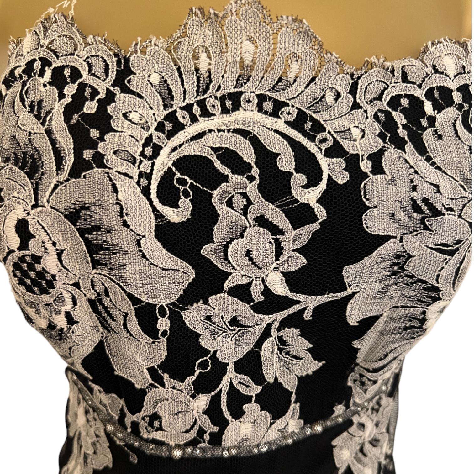 Linea Raffaelli Black Mesh Ivory Lace Silk Floral Dress UK 14