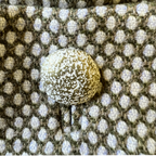 Stewart Parvin Rare Vintage Olive Green & Cream Dress Suit UK 10