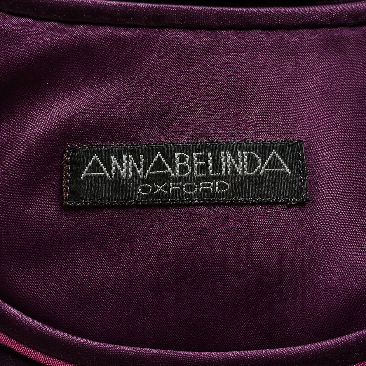 Vintage AnnaBelinda Plum Velvet Floral A-Line Dress UK 12