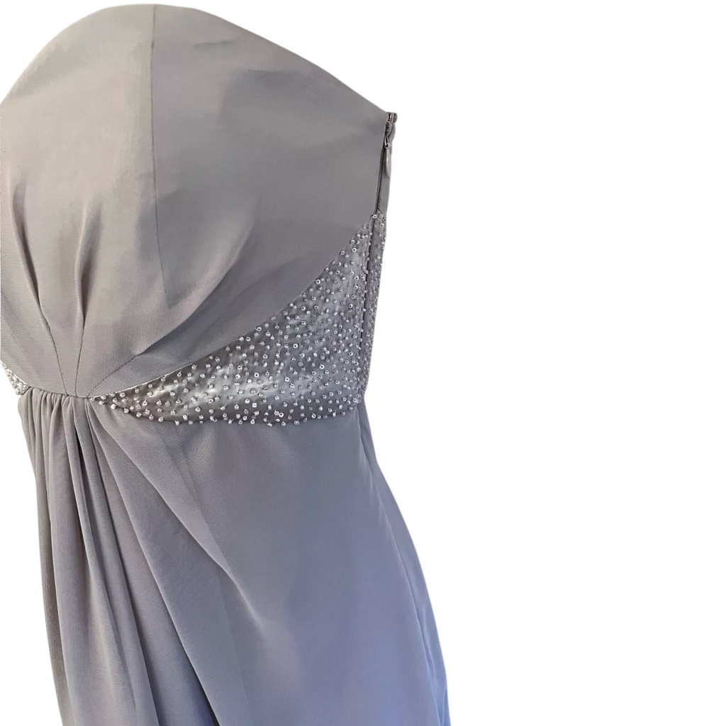 Coast Michegan Dove Grey Chiffon Maxi Dress UK 10