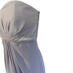 Coast Michegan Dove Grey Chiffon Maxi Dress UK 10