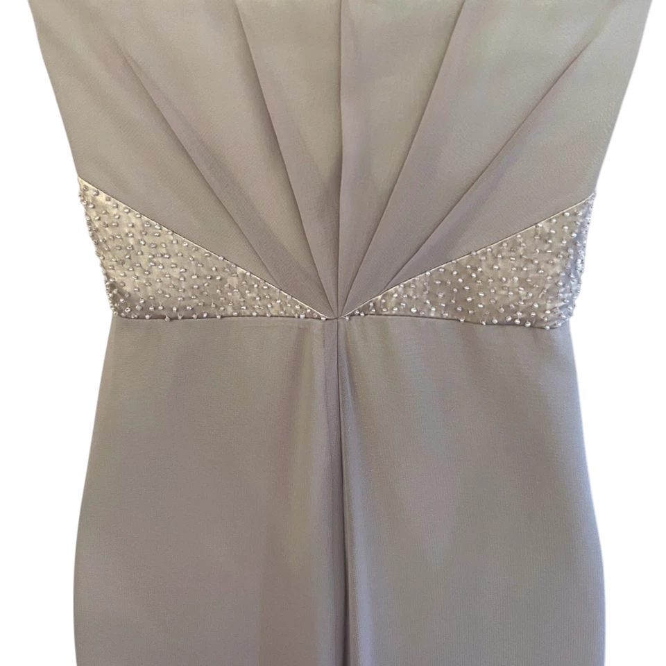 Coast Michegan Dove Grey Chiffon Maxi Dress UK 10